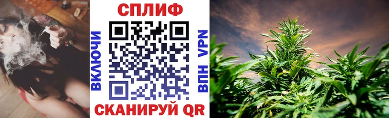 Где продают наркотики Дмитриев КОКАИН Псилоцибиновые грибы ТГК ГАШ Бошки Шишки
