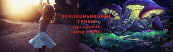 ALPHA PVP Ахтубинск