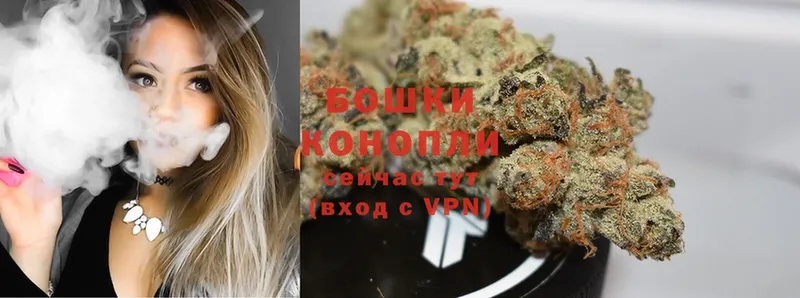 сколько стоит  Дмитриев  kraken вход  Каннабис White Widow 